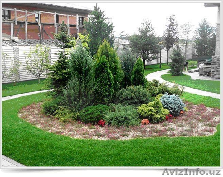 Ландшафтный дизайн Посев газона  - Изображение #5, Объявление #1484606