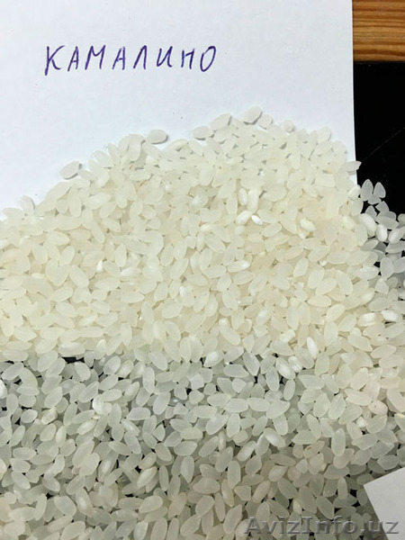 Рис Шлифованный Кубанский - Изображение #3, Объявление #1489581