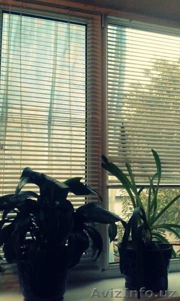  Юнусабад-10 Своя 3/2/5 - Изображение #3, Объявление #1484618