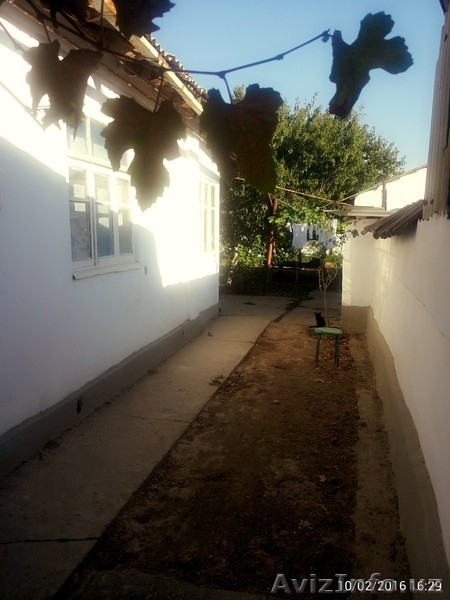 продаю дом,с мебелью - Изображение #3, Объявление #1494139