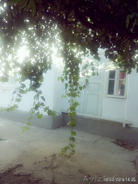 продаю дом,с мебелью - Изображение #5, Объявление #1494139