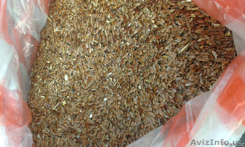 Продам Зерновые и Масленичные культуры из Казахстана - Изображение #6, Объявление #1516526