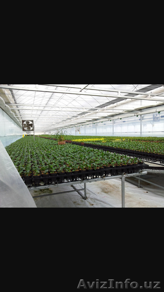 Холодильные хранилища, теплицы - Изображение #3, Объявление #1522776