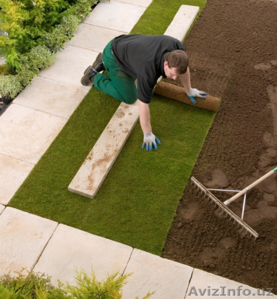 ЕвроГазоны посев и готовые газоны в рулонах -Ландшафтный дизайн, газоны посев и  - Изображение #1, Объявление #1535149