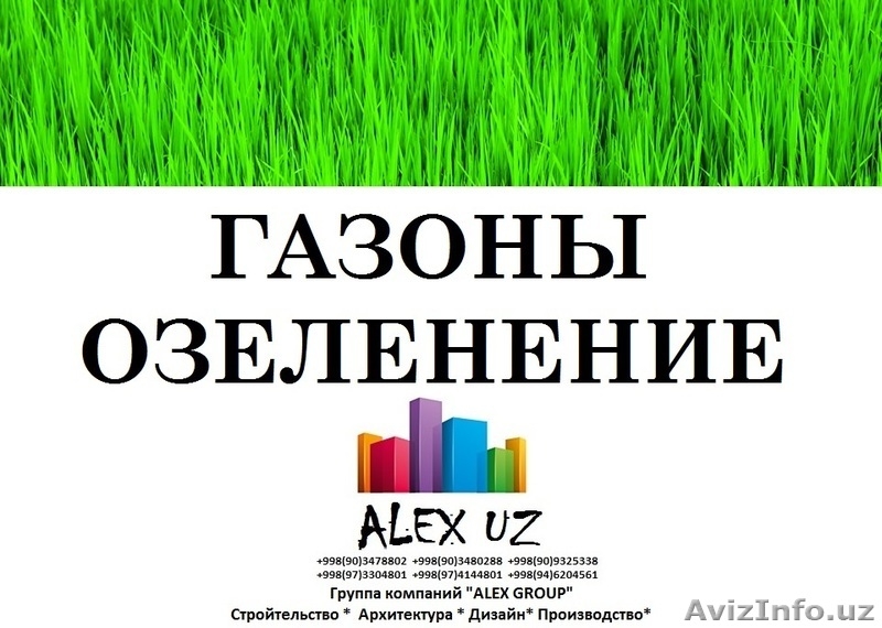 ЕвроГазоны посев и готовые газоны в рулонах -Ландшафтный дизайн, газоны посев и  - Изображение #2, Объявление #1535149