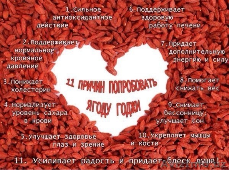 Ягоды Годжи (Тибетский Барбарис красный) - Изображение #3, Объявление #1530748