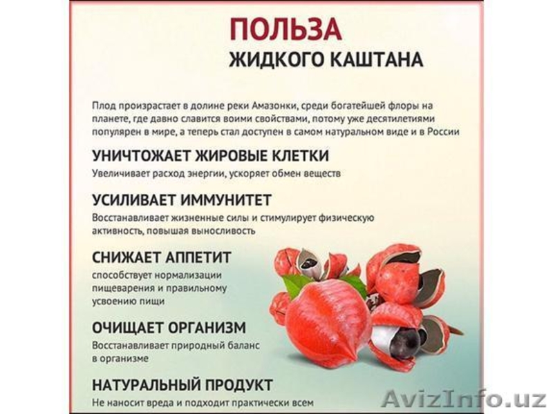 Жидкий каштан для похудения "Амазонская гуарана"  - Изображение #4, Объявление #1533666