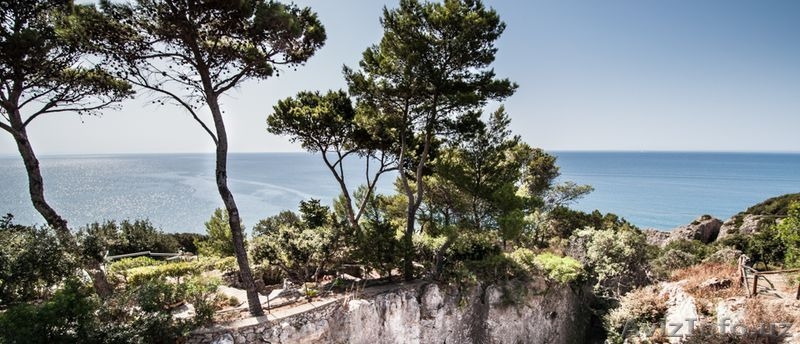 Эксклюзивная вилла в Форте дей Марми, регион Тоскана. Без комиссии - Изображение #4, Объявление #1546127