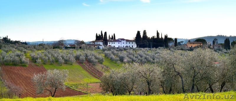 Элитная вилла во Флоренции. Италия.  Без комиссии. - Изображение #5, Объявление #1546132