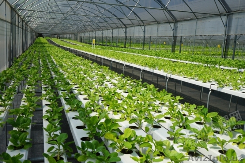 Для фермеров и предпринимателей оборудование - Изображение #5, Объявление #1555868