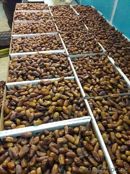 Финики Тунис (Прямые поставки)  - Изображение #4, Объявление #1567125