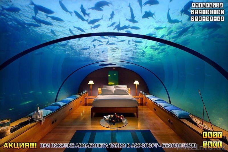 Авиабилеты и Туры по всему миру! Гибкая система скидок.  - Изображение #4, Объявление #1568838