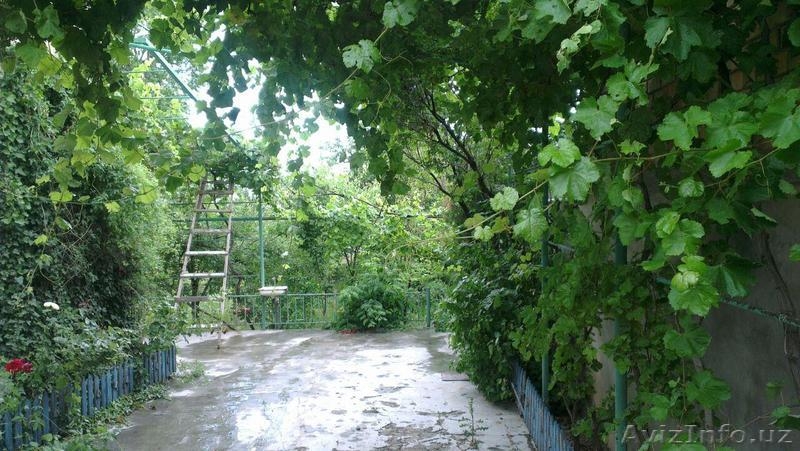 Продажа своего дома в Кибрайском районе, махалля Ок-олтин. Состояние отличное.   - Изображение #3, Объявление #1495329