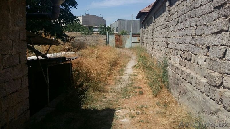 Продам дом с участком в Ташкенте, СРОЧНО! - Изображение #3, Объявление #1579099