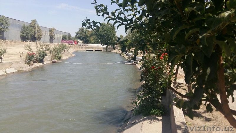 Продам дом с участком в Ташкенте, СРОЧНО! - Изображение #4, Объявление #1579099