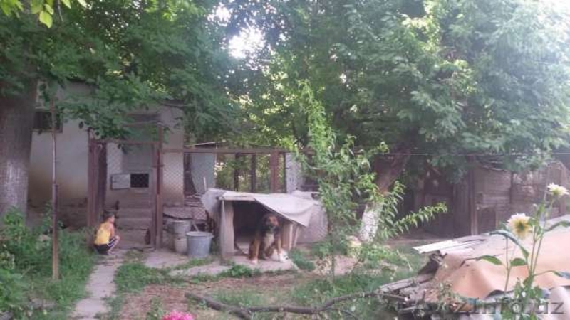 кибрайский р-он п.гэскадырья - Изображение #8, Объявление #1577155