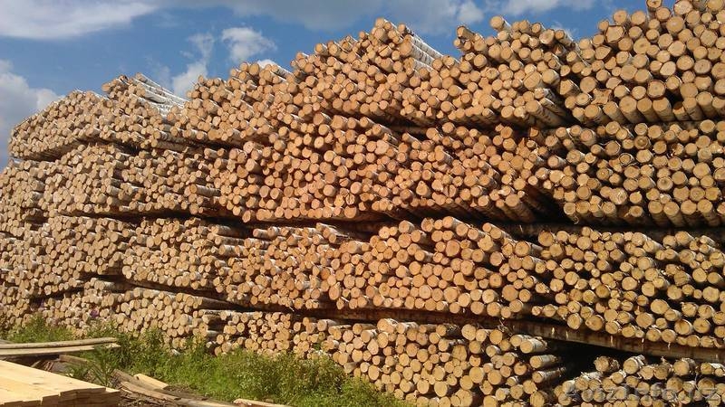 Бизнес Протекшн - Изображение #3, Объявление #1585214