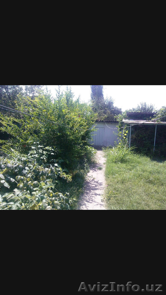 Дом 60 кв с садом на 9 сотках - Изображение #4, Объявление #1581670