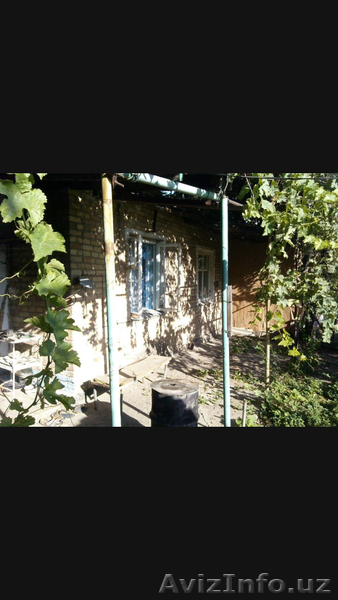 Дом 60 кв с садом на 9 сотках - Изображение #8, Объявление #1581670