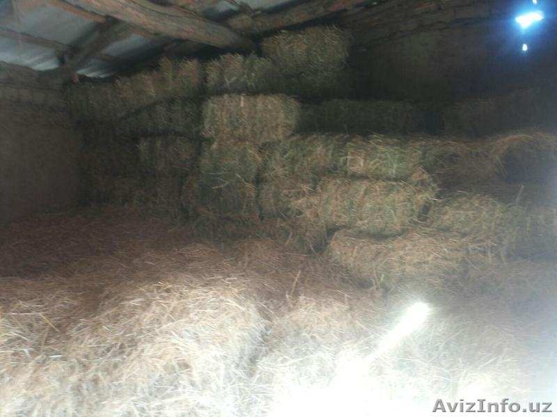 Приглашаем инвесторов в прибыльный бизнес — оптовая торговля говяжьим мясом. - Изображение #3, Объявление #1583749