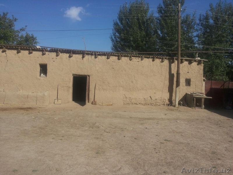 Приглашаем инвесторов в прибыльный бизнес — оптовая торговля говяжьим мясом. - Изображение #4, Объявление #1583749