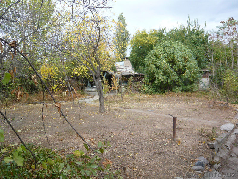 10 соток Домрабад махалля Тирсакобод, 45000 - Изображение #3, Объявление #1589825