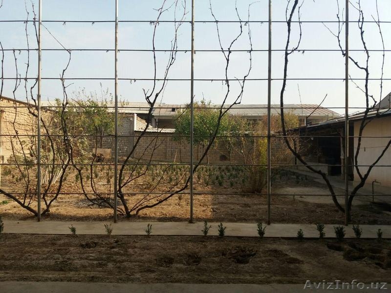 Продается дом Кибрайский р-н. Сельхозинститут - Изображение #10, Объявление #1596231