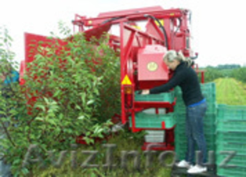 Однорядный прицепной комбайн для уборки вишни FELIX/Z - Изображение #3, Объявление #1601510