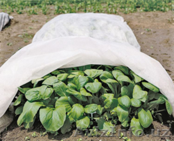 Энергосберегающие обогреватели и защитные материалы - Отопление - Изображение #5, Объявление #1603199