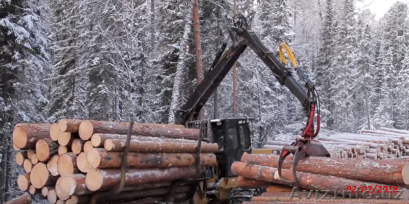 Качественный лес из регионов Дальнего Востока России - Изображение #5, Объявление #1605442