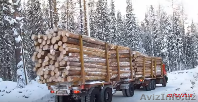 Качественный лес из регионов Дальнего Востока России - Изображение #6, Объявление #1605442
