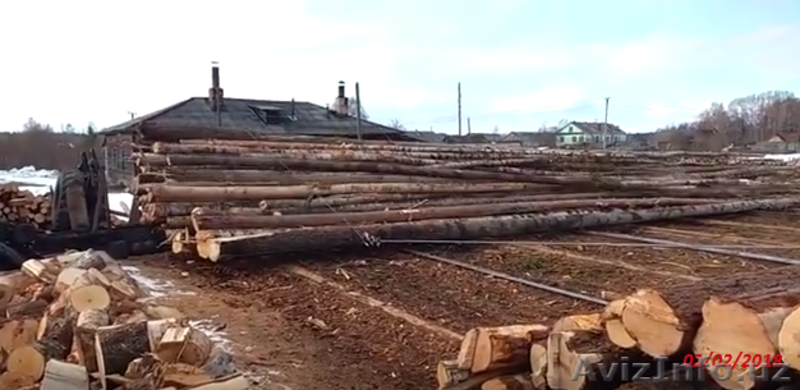 Качественный лес из регионов Дальнего Востока России - Изображение #7, Объявление #1605442