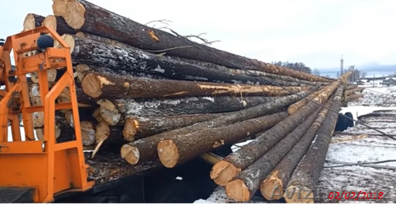 Качественный лес из регионов Дальнего Востока России - Изображение #3, Объявление #1605442