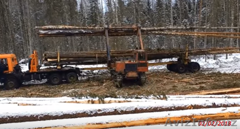 Качественный лес из регионов Дальнего Востока России - Изображение #4, Объявление #1605442