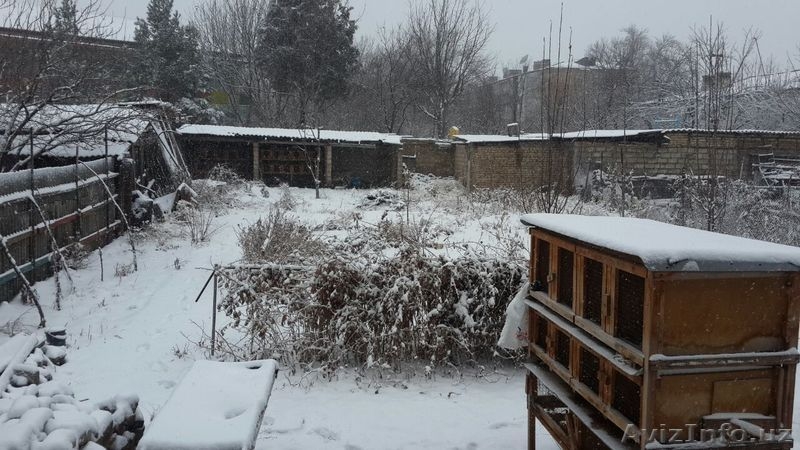 Свой участок под снос на Саломатина! 5.4 сотки. Без посредников! - Изображение #3, Объявление #1605766
