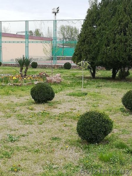 Теннисные корты. Занятия теннисом для всех. - Изображение #3, Объявление #1613790