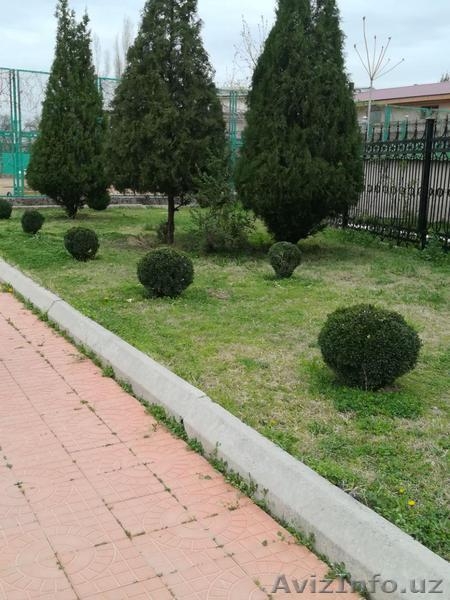 Теннисные корты. Занятия теннисом для всех. - Изображение #4, Объявление #1613790