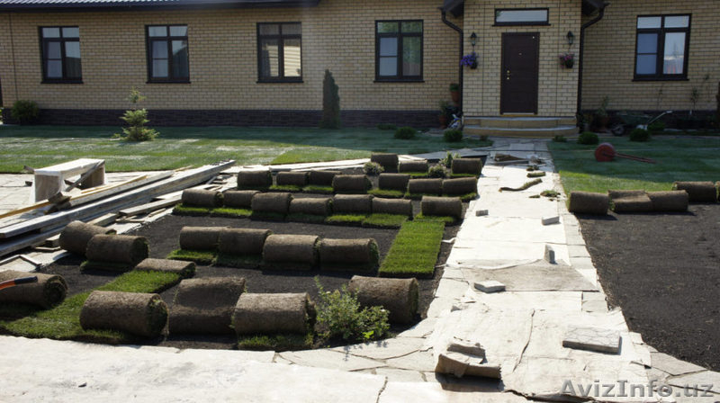 Газон. Продажа и установка готового выращенного газона производства Дании в руло - Изображение #4, Объявление #1616923