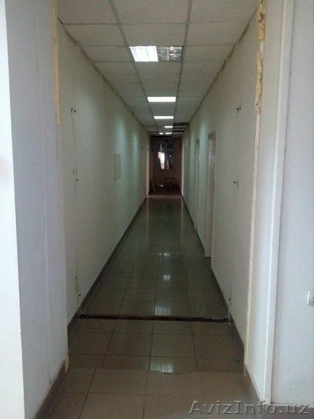 Участок со зданием в центре города (ул.Глинка) - Изображение #3, Объявление #1623601