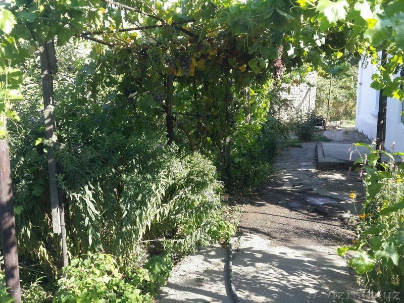 Срочно продается дом 3 комнаты на участке 11 соток, Старые Сергели - Изображение #3, Объявление #1627213