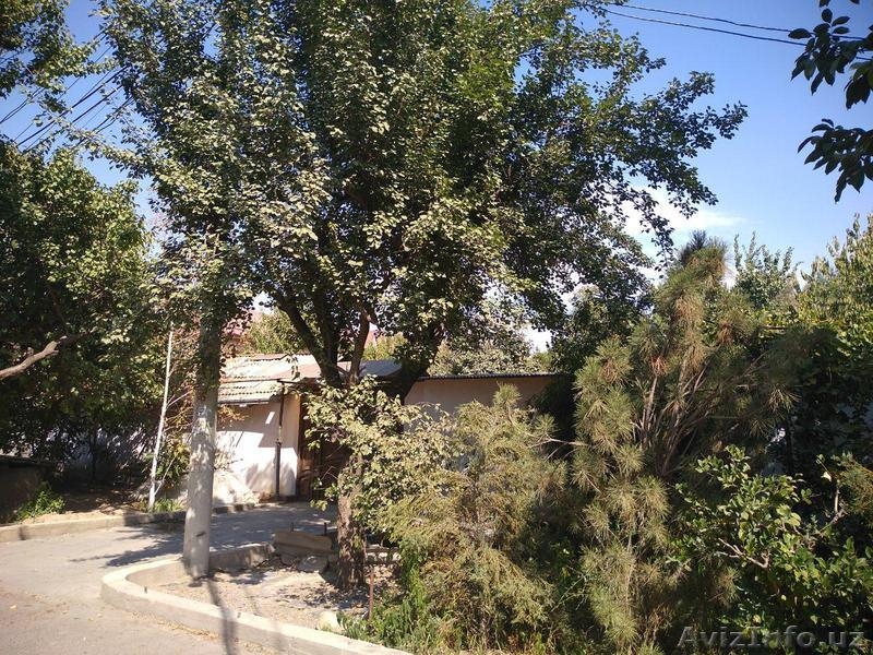 Центр срочно продам дом Новомосковская (Оккургон 6) ориентир 15 больница Республ - Изображение #3, Объявление #1633788