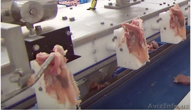 Линия обвалки грудки птицы - Изображение #4, Объявление #1632136