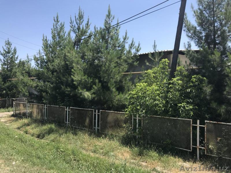 Участком 12 соток - Изображение #3, Объявление #1636572