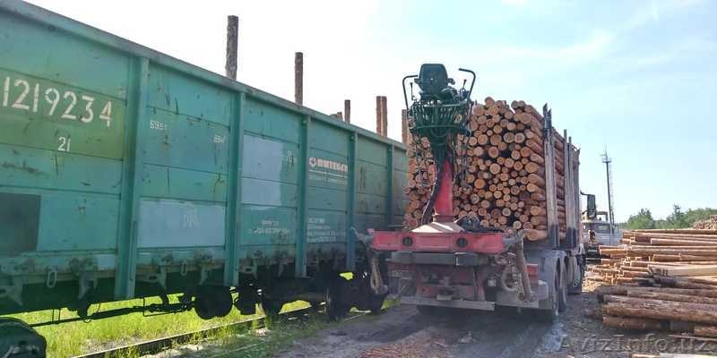 балансы хвойные тонкомер сосна на вагоне - Изображение #3, Объявление #1639247