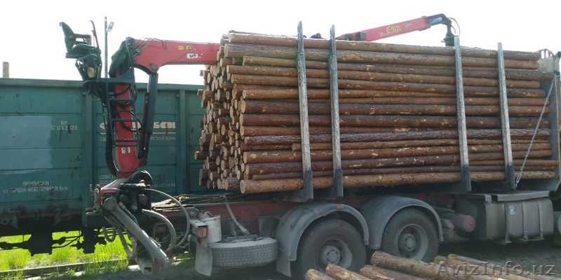 балансы хвойные тонкомер сосна на вагоне - Изображение #4, Объявление #1639247