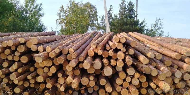 балансы хвойные тонкомер сосна на вагоне - Изображение #6, Объявление #1639247