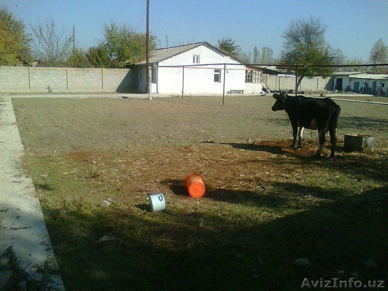 Продам участок в Зангиотинском районе 17 соток - Изображение #7, Объявление #1639059