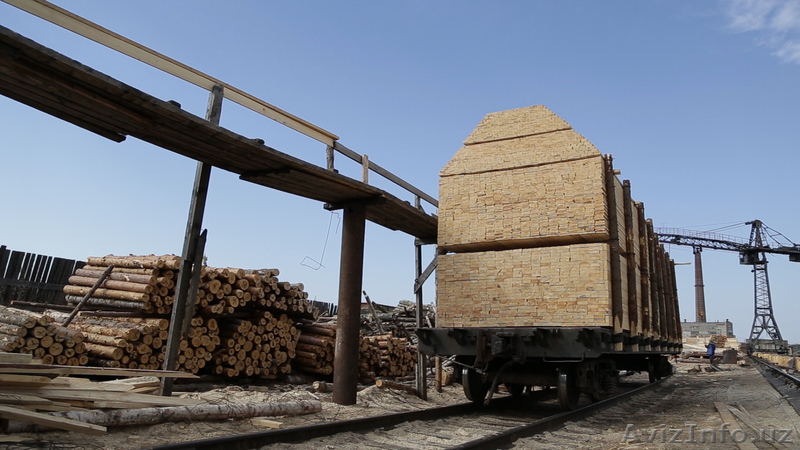 Пиломатериал, доска естественной влажности хвойных пород - Изображение #1, Объявление #1643484