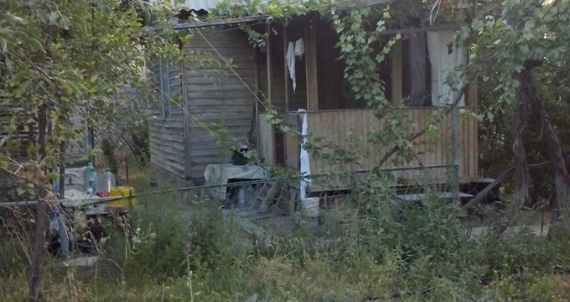 Продаётся дача. Тузель. Приватизированная. - Изображение #3, Объявление #1650067