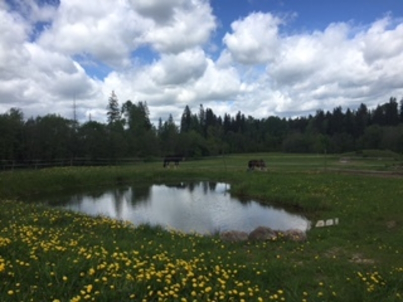 Имение в Латвии - Изображение #5, Объявление #1655033